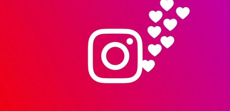 Different Types of Services Offered When You Buy Instagram Likes